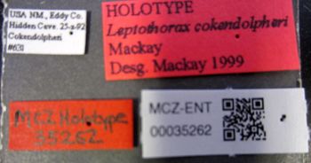 Media type: image;   Entomology 35262 Aspect: labels